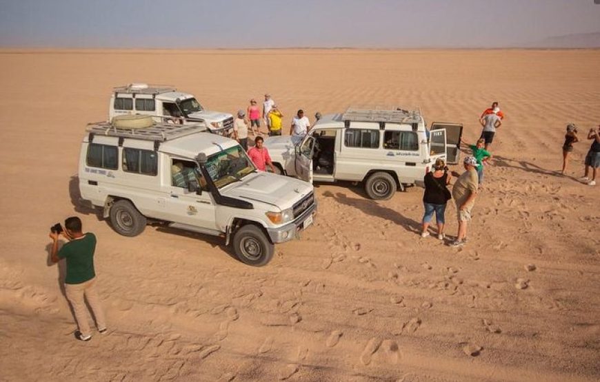 Safari Morning or Afternoon 3 Hours tour By ATV Quad and Camel Ride – Marsa Alam
