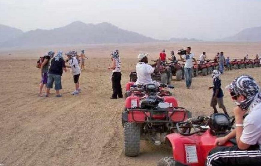 3-hour Quadbike Adventure in Marsa Alam