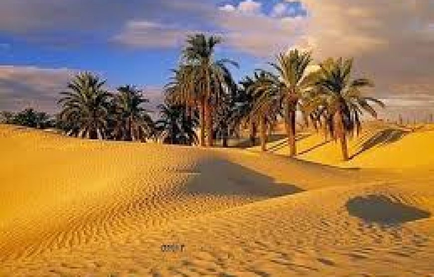 Desert Camping at Bahariya Oasis