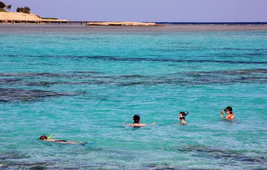 Marsa Alam: Snorkeling at Abu Dabab Beach