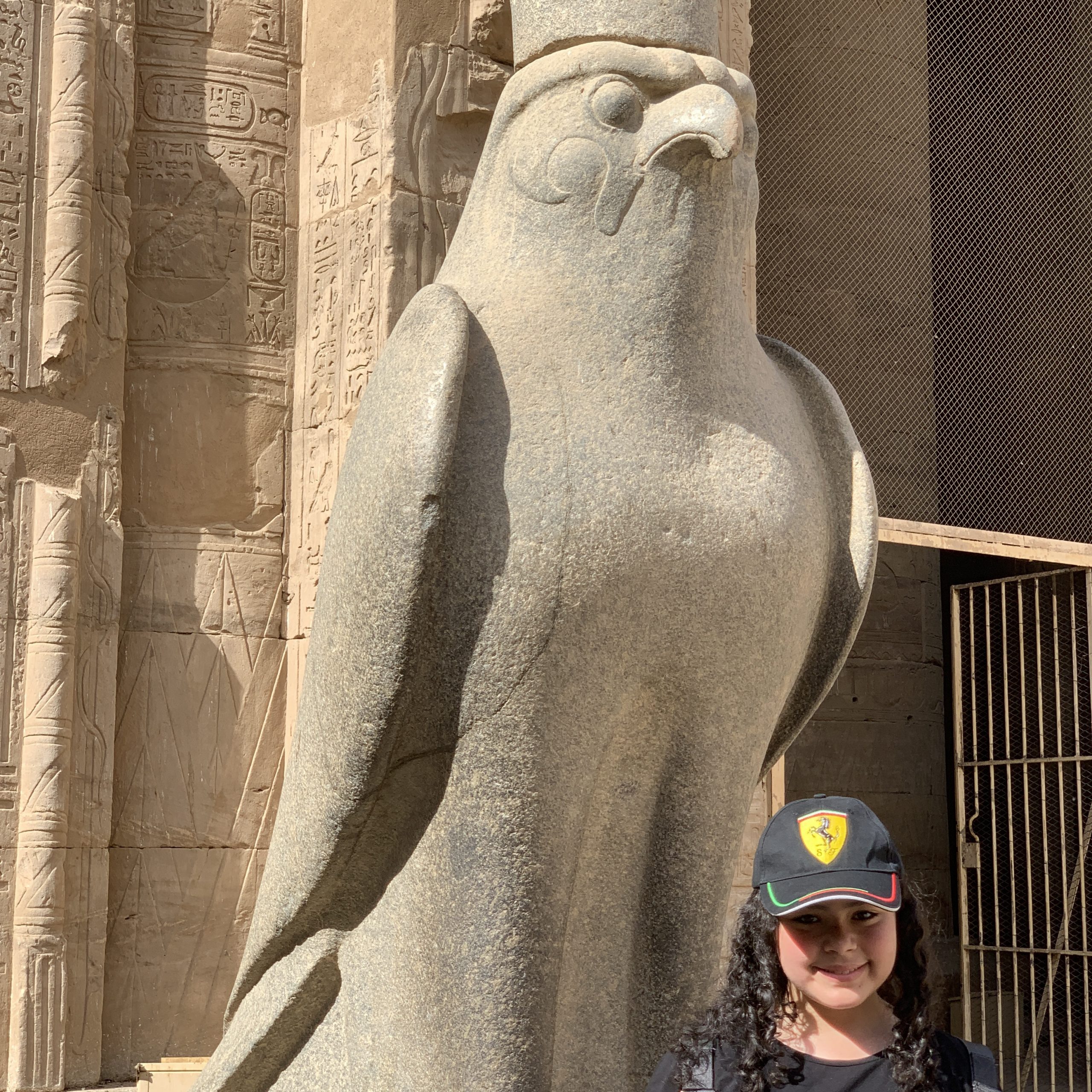 Day 05 : Edfu Temple/ Luxor Excursions
