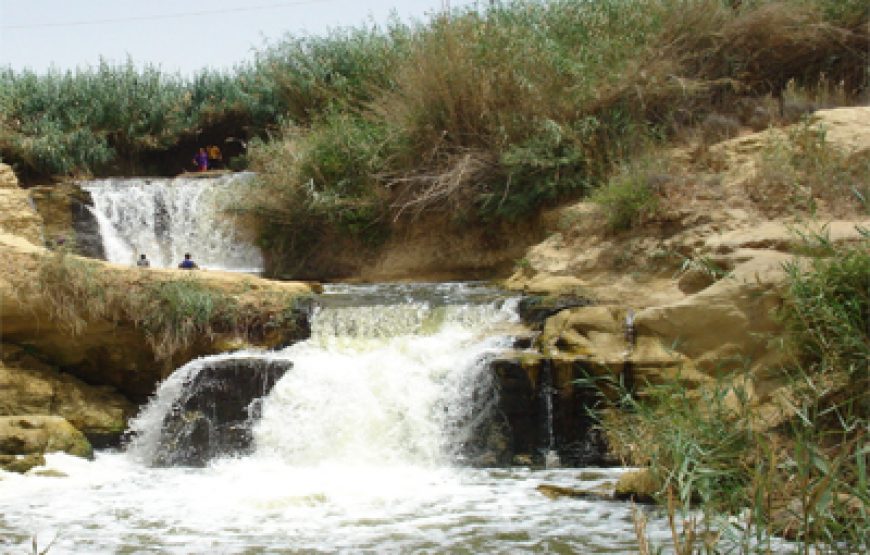 Meditation and Yoga Tour in Fayoum Oasis from Cairo
